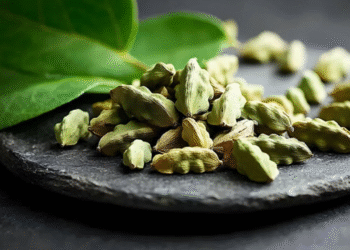 Health Tips: సుగంధ ద్రవ్యాల రాణి.. భోజనం తర్వత ఒక్కటి ఇలా నోట్లో వేసుకుంటే చాలు.. బంగారంలాంటి ఆరోగ్యం..!